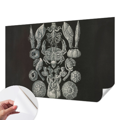 Peel and stick wall mural for kids' room Underwater forms