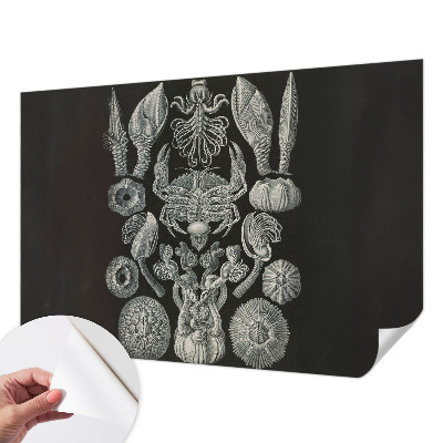 Peel and stick wall mural for kids' room with an underwater theme