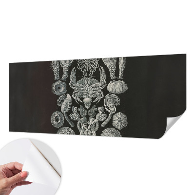 Peel and stick wall mural for kids' room with an underwater theme