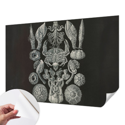 Peel and stick wall mural for kids' room with an underwater theme