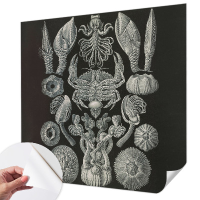 Peel and stick wall mural for kids' room with an underwater theme