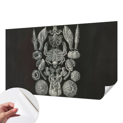 Peel and stick wall mural for kids' room with an underwater theme
