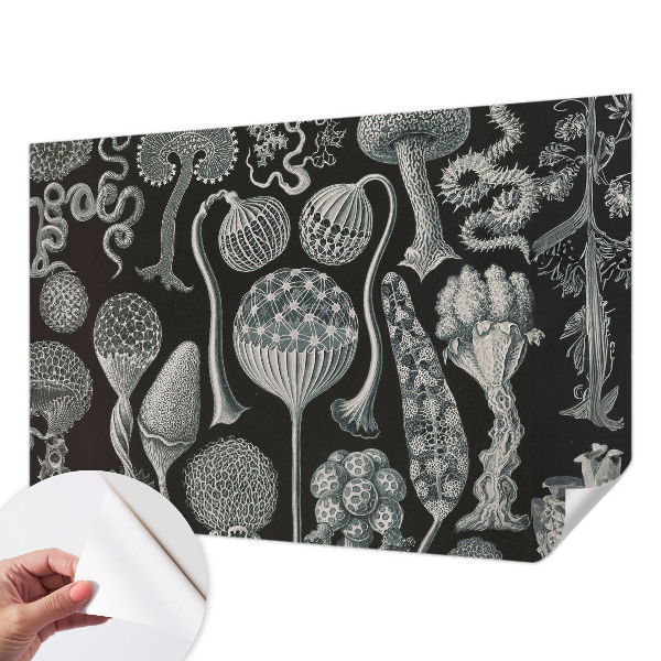 3D wall mural with a magical plants motif