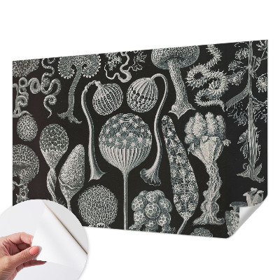 3D wall mural with a magical plants motif