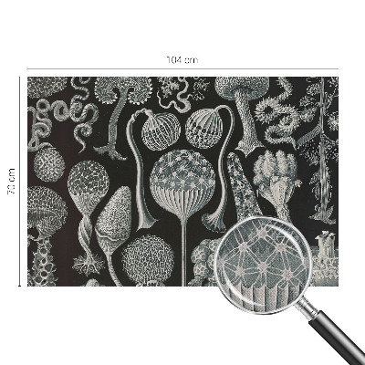 3D wall mural with a magical plants motif