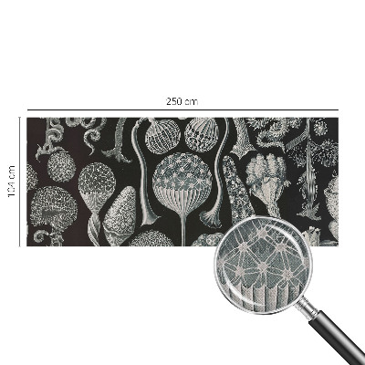3D wall mural with a magical plants motif