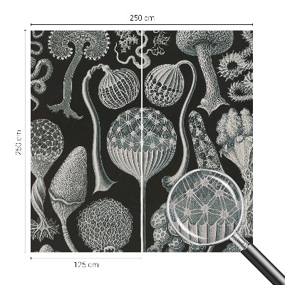 3D wall mural with a magical plants motif