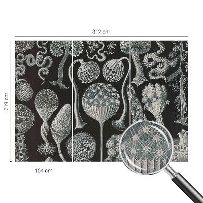 3D wall mural with a magical plants motif