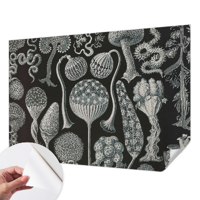 3D wall mural with a magical plants motif
