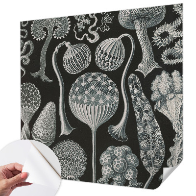 3D wall mural with a magical plants motif
