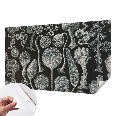 3D wall mural with a magical plants motif