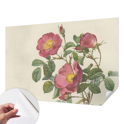 3D photo wallpaper mural with a rose motif
