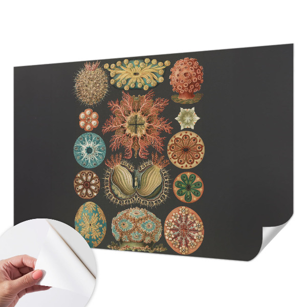 Peel and stick wall mural for living room featuring sea-inspired motifs