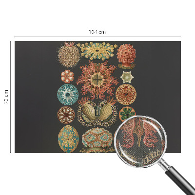 Peel and stick wall mural for living room featuring sea-inspired motifs