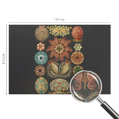 Peel and stick wall mural for living room featuring sea-inspired motifs