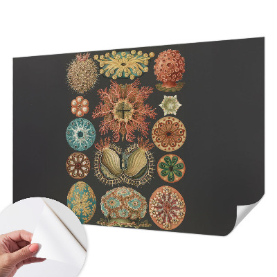 Peel and stick wall mural for living room featuring sea-inspired motifs