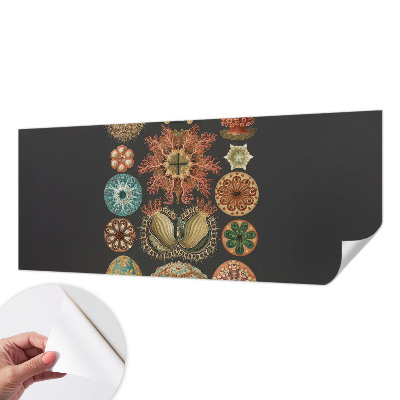 Peel and stick wall mural for living room featuring sea-inspired motifs