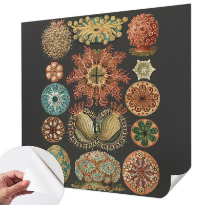 Peel and stick wall mural for living room featuring sea-inspired motifs