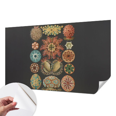 Peel and stick wall mural for living room featuring sea-inspired motifs