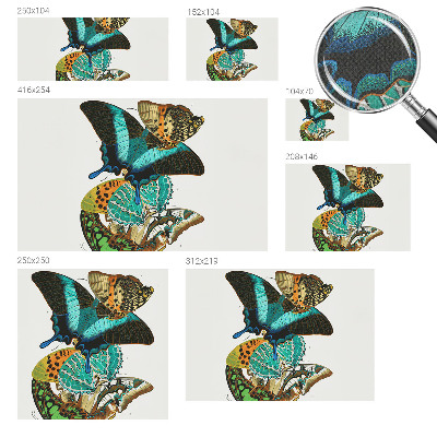 Baby room wall mural with colorful butterflies