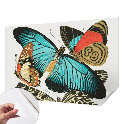 Peel and stick wall mural with a colorful butterfly design