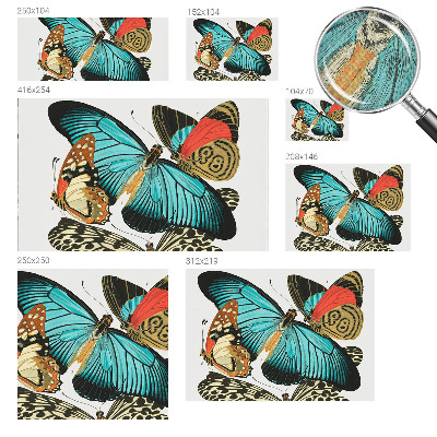 Peel and stick wall mural with a colorful butterfly design