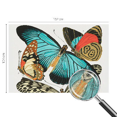 Peel and stick wall mural with a colorful butterfly design