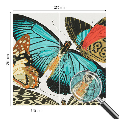 Peel and stick wall mural Colorful butterflies