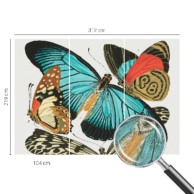 Peel and stick wall mural with a colorful butterfly design