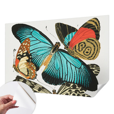 Peel and stick wall mural with a colorful butterfly design