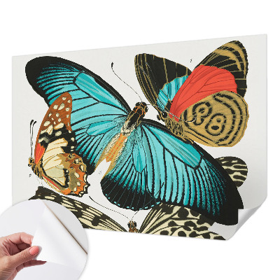 Peel and stick wall mural with a colorful butterfly design