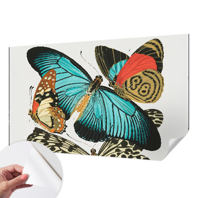 Peel and stick wall mural with a colorful butterfly design