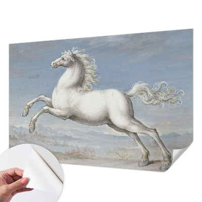 Removable wall mural Horses in the jump