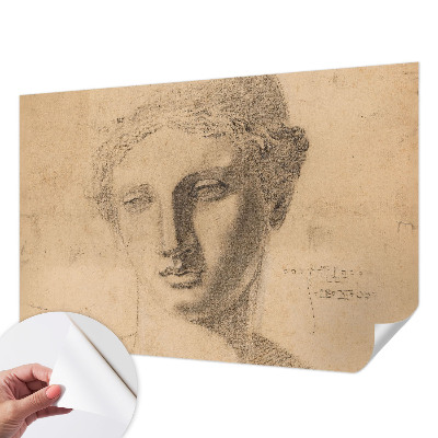 Peel and stick wallpaper mural featuring a female portrait