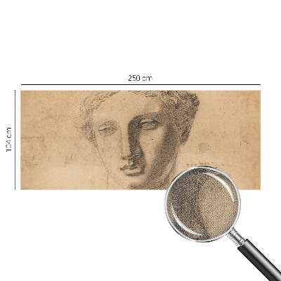 Peel and stick wallpaper mural featuring a female portrait