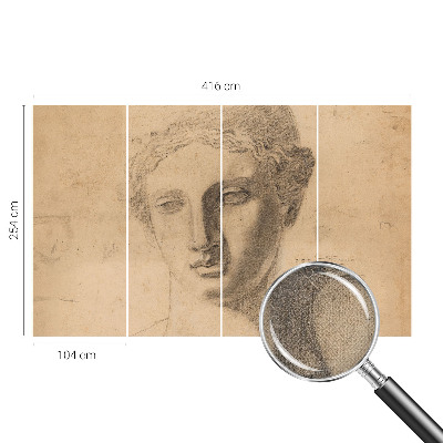 Peel and stick wallpaper mural featuring a female portrait
