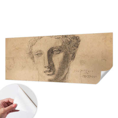Peel and stick wallpaper mural featuring a female portrait