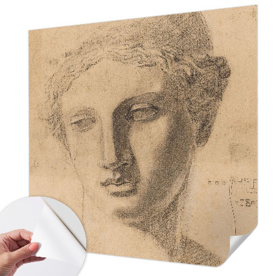 Peel and stick wallpaper mural featuring a female portrait
