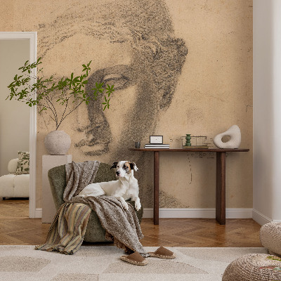 Peel and stick wallpaper mural Female portrait