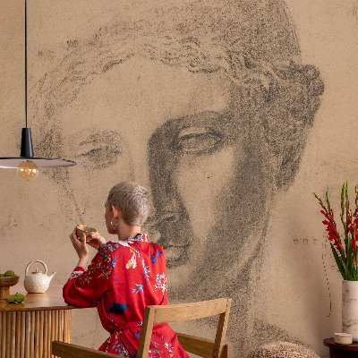 Peel and stick wallpaper mural Female portrait