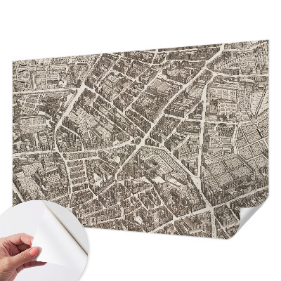 Peel and stick wall mural with an urban maze design