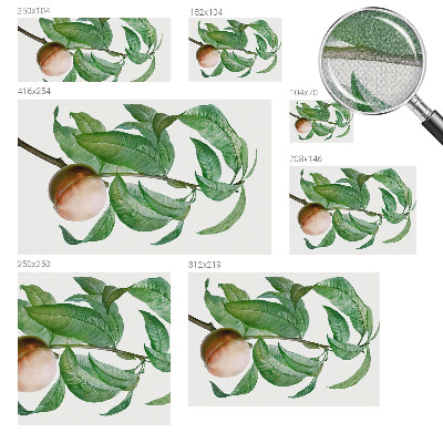 Children's wall mural with a ripe peach motif