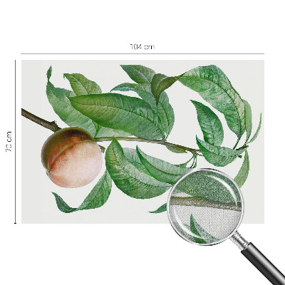 Children's wall mural with a ripe peach motif