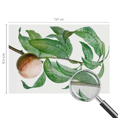 Children's wall mural with a ripe peach motif