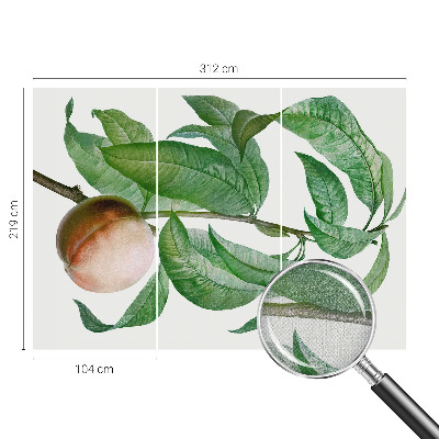 Children's wall mural with a ripe peach motif