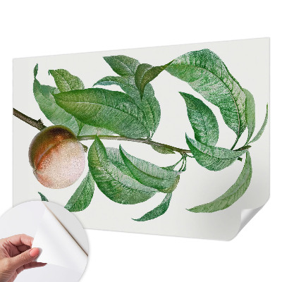 Children's wall mural with a ripe peach motif