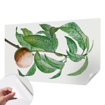 Children's wall mural Ripe peach