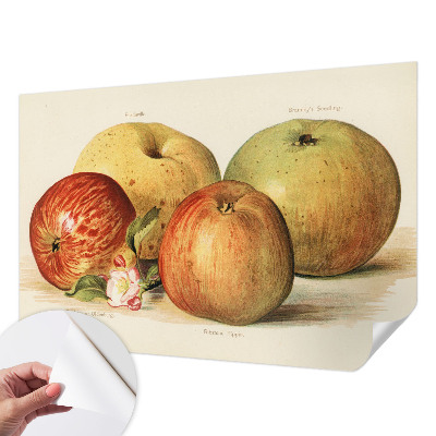 Baby room wall mural with apple blossom design