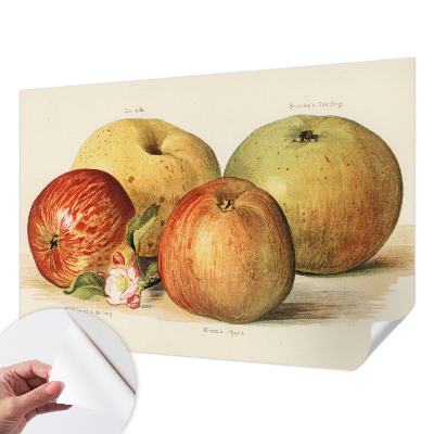 Baby room wall mural with apple blossom design