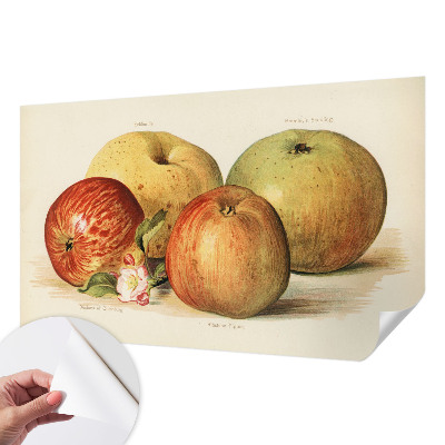 Baby room wall mural with apple blossom design